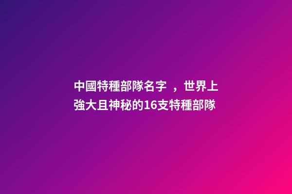 中國特種部隊名字，世界上強大且神秘的16支特種部隊